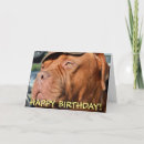 Search for mastiff birthday cards Cute