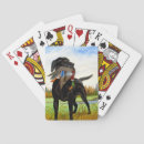 Search for hunting playing cards Animal