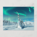 Search for spruce tree postcards Snow