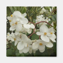 Search for grenada magnets Nature
