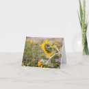 Search for drooping Bloom