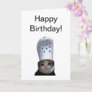 Search for croc Happy birthday
