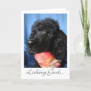 Search for hairdo cards Stylist