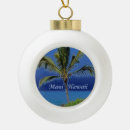 Search for hawaiian christmas decor Palm tree