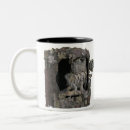Search for barred owl mugs Nature