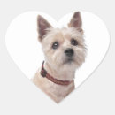 Search for cairns stickers Dog