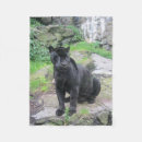 Search for black panther blankets Cougar