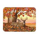 Search for fall colour magnets Wildlife