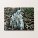 Search for pipe puzzles Flower