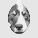 Search for border collie christmas tree decorations Animal