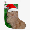 Search for orange cat christmas stockings For pets