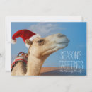 Search for landing the christmas cards Humour