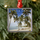 Search for greg johnston Palm tree