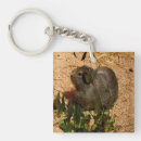 Search for pig photography Pet