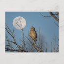 Search for grassland postcards Animal