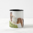 Search for chincoteague ponies mugs Pony