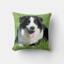Search for collie cushions Animal lover