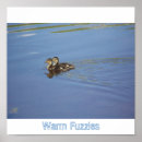 Search for fuzzy posters Animals