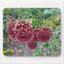 Search for flowering plants mousepads Red