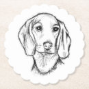 Search for dachshund coasters Animal