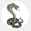 Search for cobra stickers Reptile