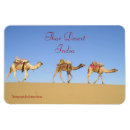 Search for camel desert magnets Souvenir