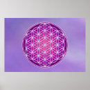 Search for blume art Symbol