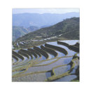 Search for china notepads Nobody