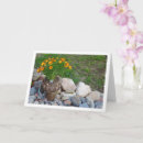 Search for orange daisies cards Floral