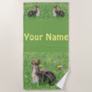 Search for furry beach towels Wildlife