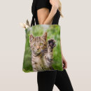 Search for beckoning accessories Cats