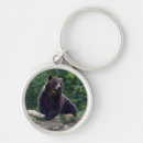 Search for big bear key rings Background