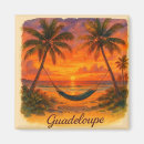 Search for hammock magnets Tropical
