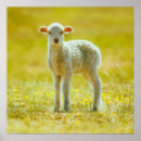 Search for sheep lamb art Livestock