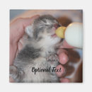 Search for friend baby magnets Animal