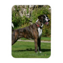 Search for brindle magnets Dog