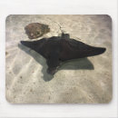 Search for stingray mousepads Fish