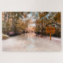 Search for message puzzles Surprise