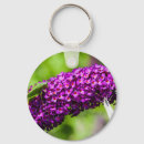 Search for cricket key rings Insect