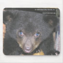 Search for bear face mousepads Bears