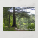 Search for lakeside postcards Greetings