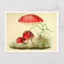 Search for toadstool postcards Fungi