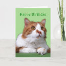 Search for white cat birthday cards Kitty