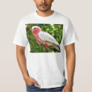 Search for galah clothing Australian wildlife