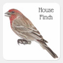 Search for finch stickers Red