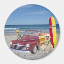 Search for dog car magnets Humour