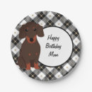 Search for dachshund plates Birthday party