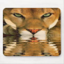 Search for cougar mousepads Animals