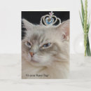 Search for ragdoll cat cards Kitty