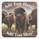 Search for herd stickers Buffalo